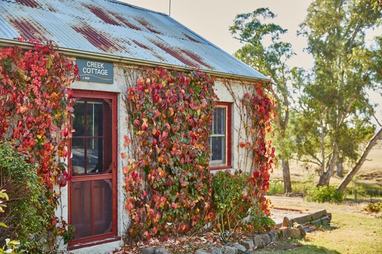 Lochinver Homestead And Cottages แมรีโบโร ภายนอก รูปภาพ